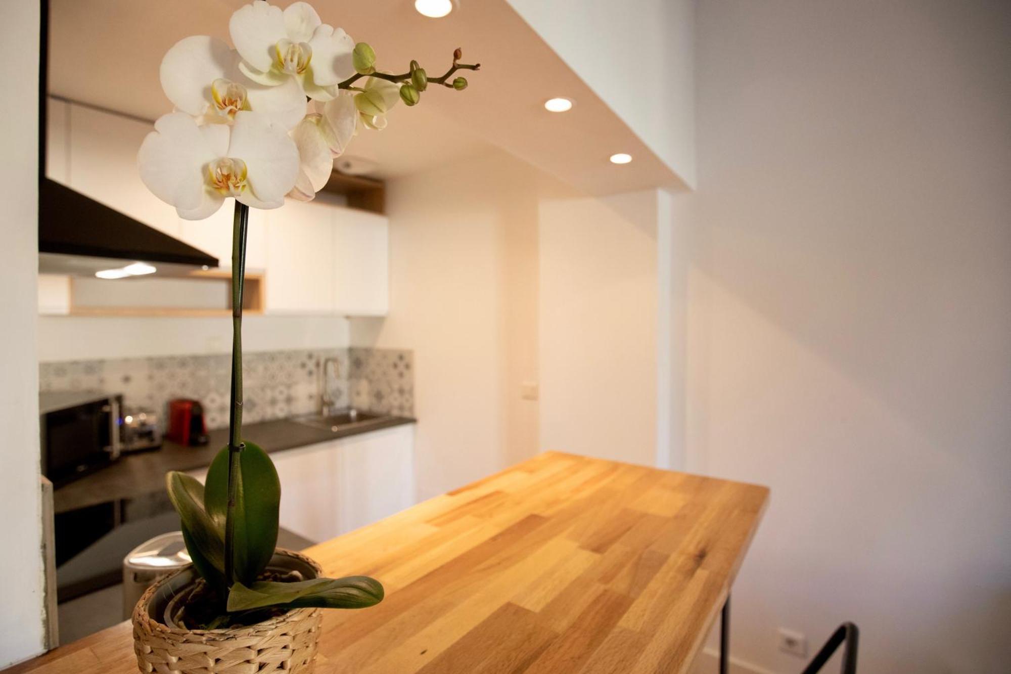 Home Chic Home - Les Toits De Sainte-Ursule 몽펠리에 외부 사진